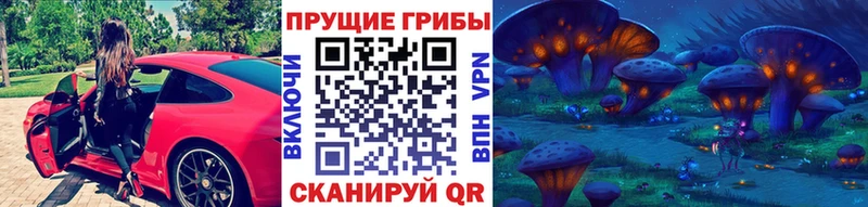 продажа наркотиков  Грязи  Галлюциногенные грибы GOLDEN TEACHER 